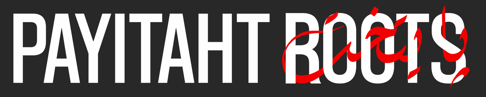 Payitaht Roots